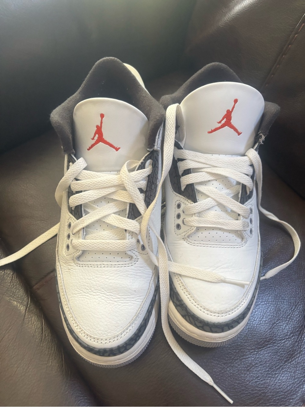 Jordan 3 Kids White Cement Sneakers